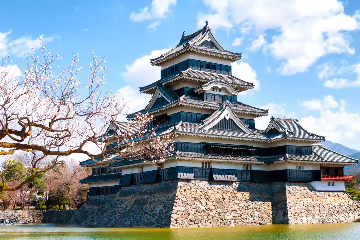 The dark, multi-tiered facade of Matsumoto Castle framed by blooming cherry blossoms.