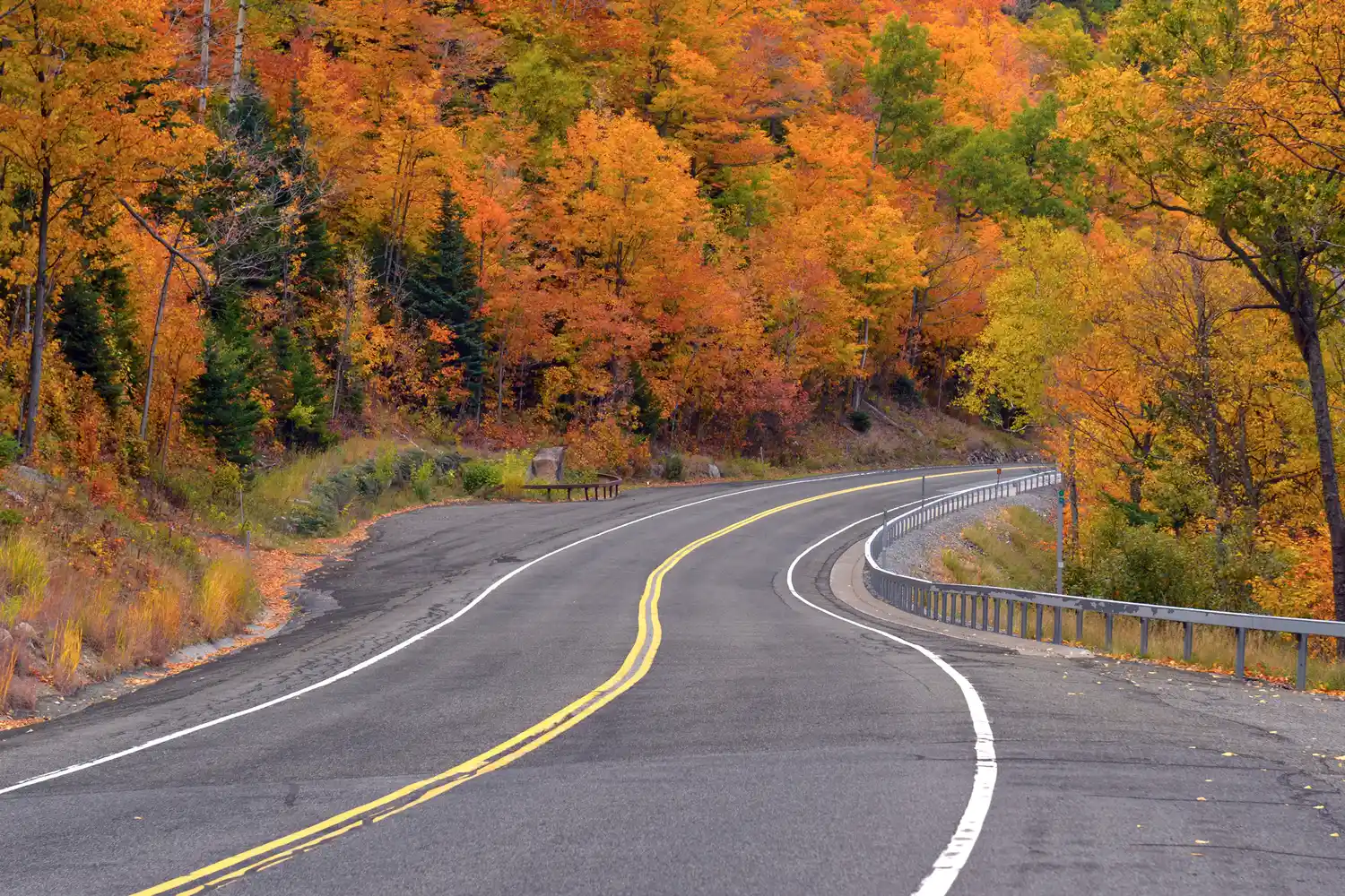 A winding paved road through a forest displaying vibrant orange and yellow autumn foliage.